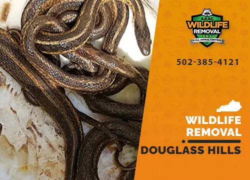 Douglass Hills Wildlife Removal professional removing pest animal